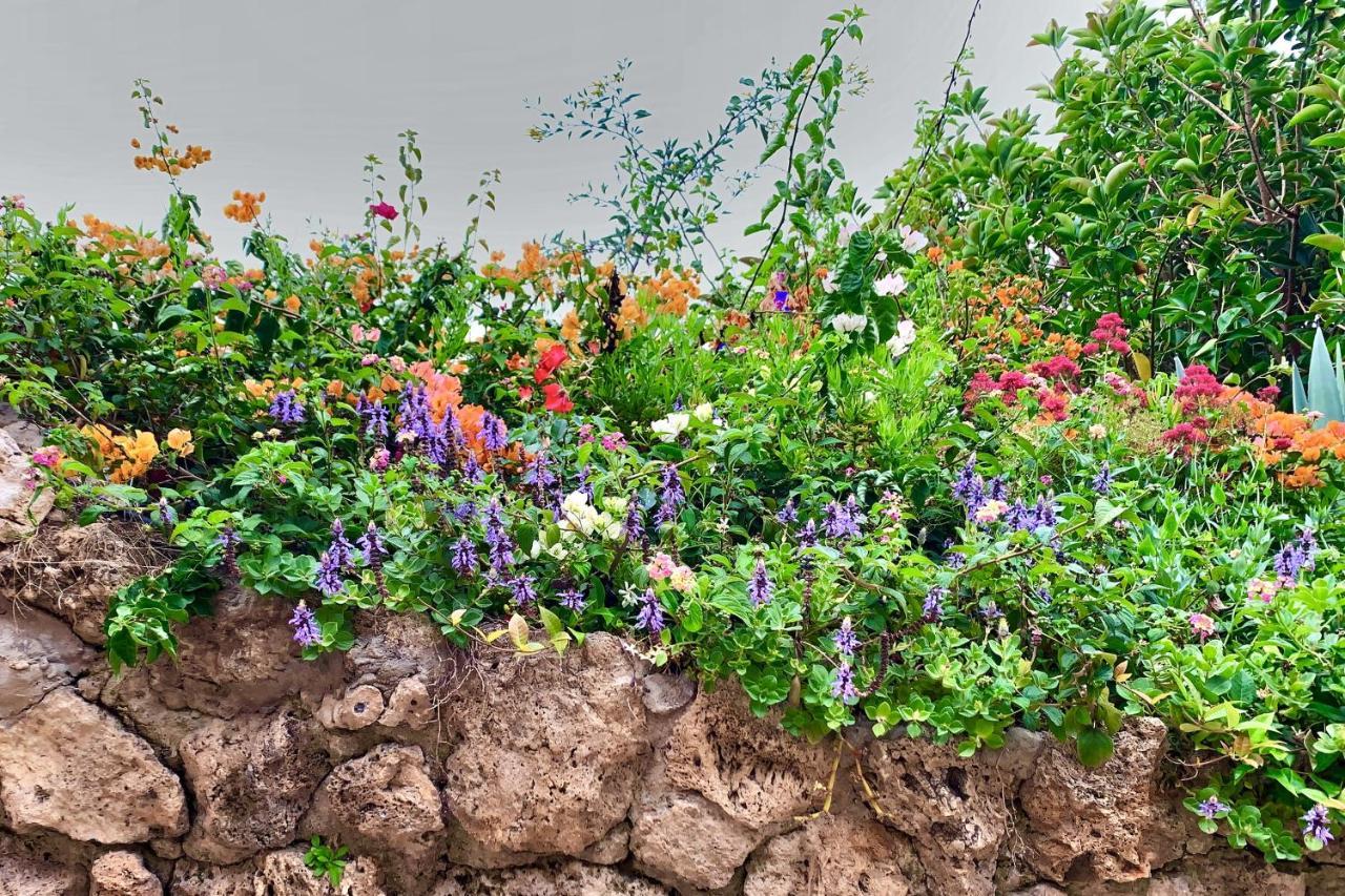 טורמולינוס Santa Clara Cozy Sea View Studio מראה חיצוני תמונה